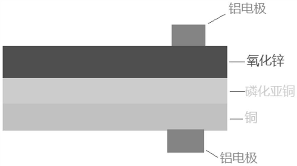 Preparation method of photoelectric detector based on zinc oxide-cuprous phosphide