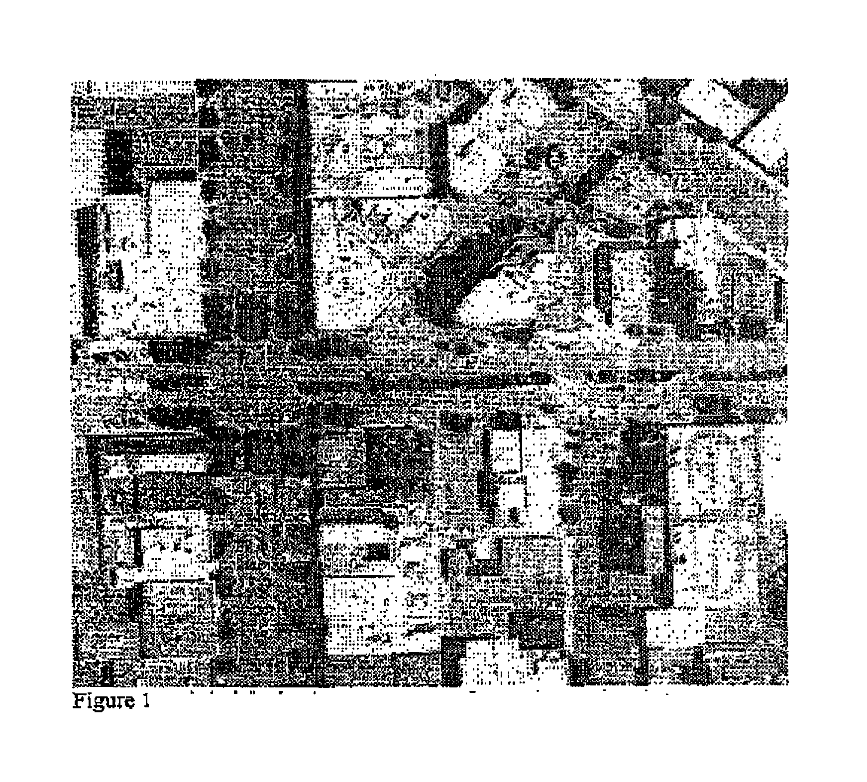 Method and system for modeling and managing terrain, buildings, and infrastructure