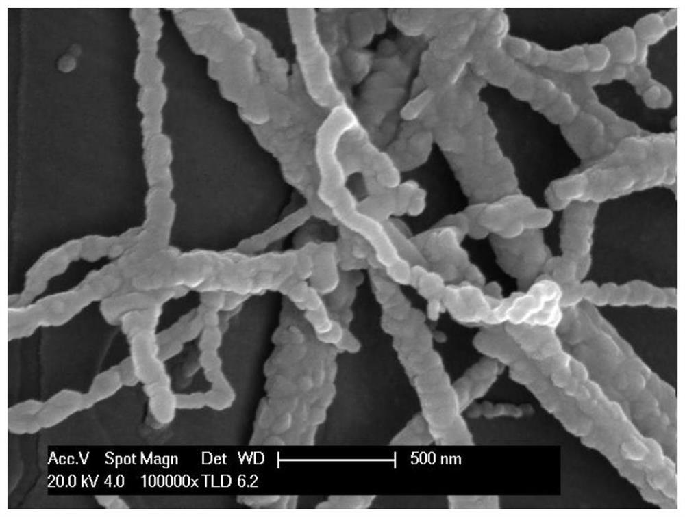 Preparation method and application of high-purity silver-doped bismuth tungstate nano-antibacterial fibrous membrane