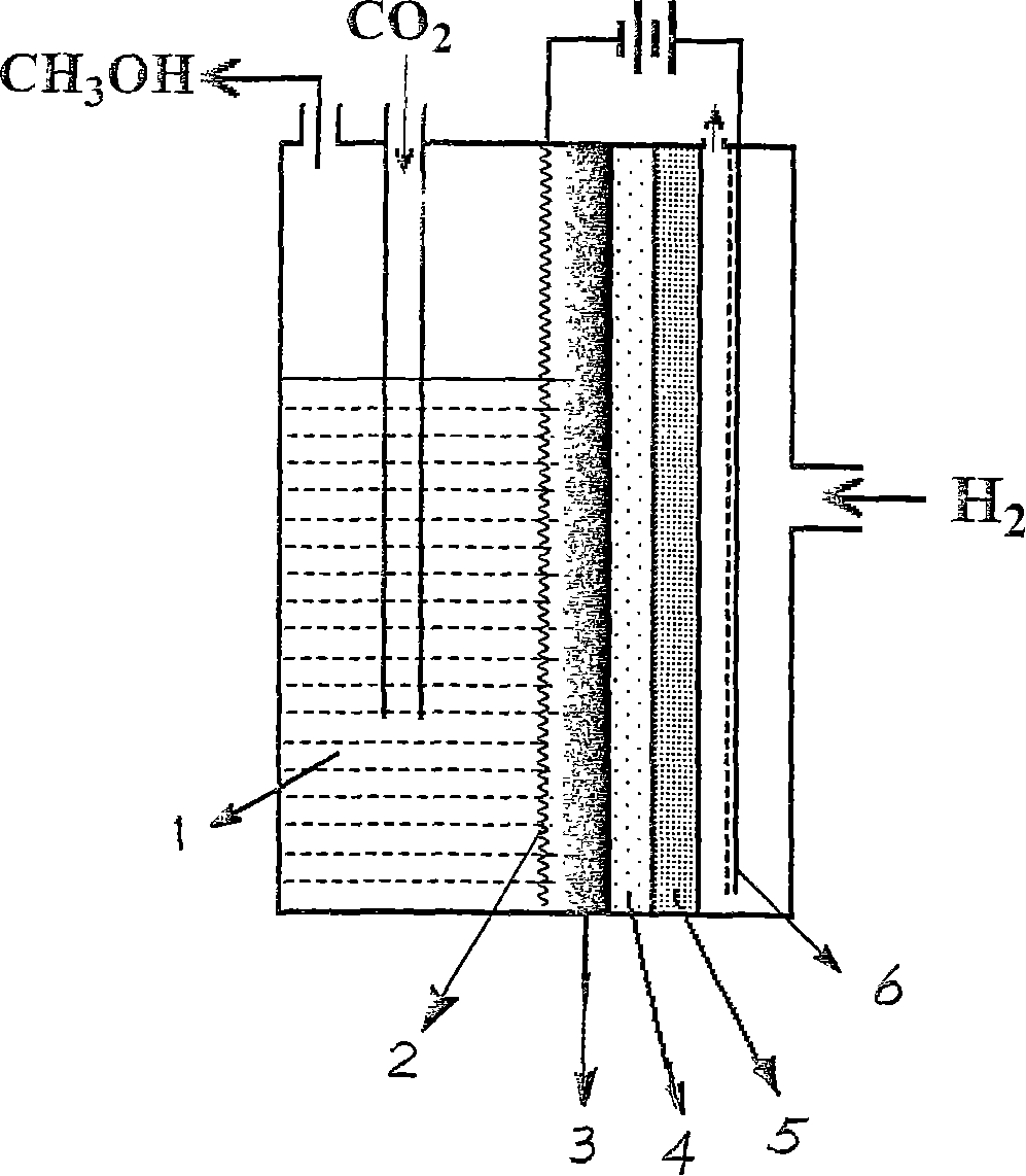 Electrochemical reduction method and apparatus for carbonic anhydride in ionic liquid