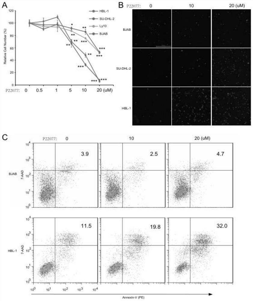 Application of USP7 inhibitor in medicine for treating ABC-DLBCL