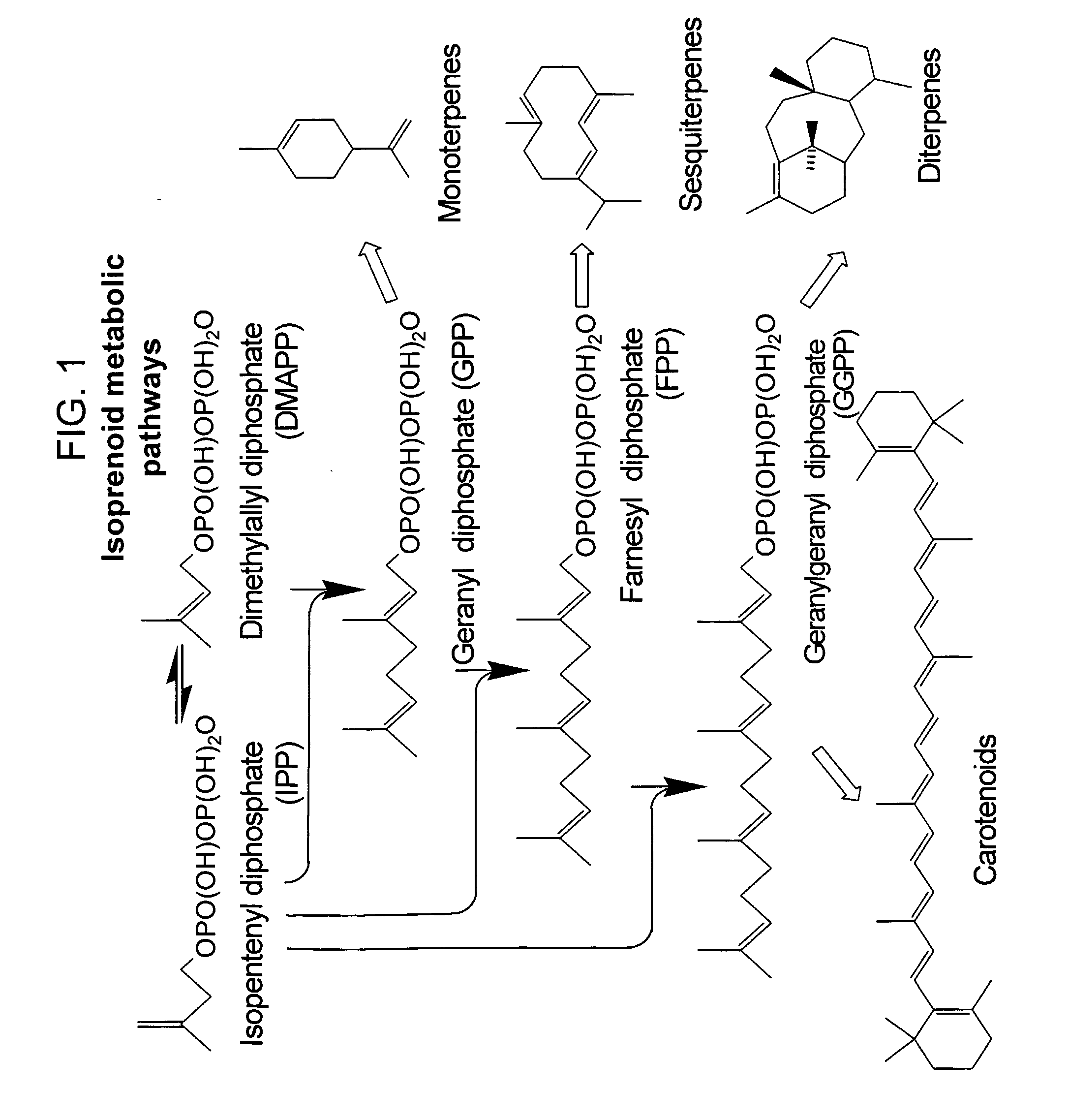 Method for Identification of Enzymes