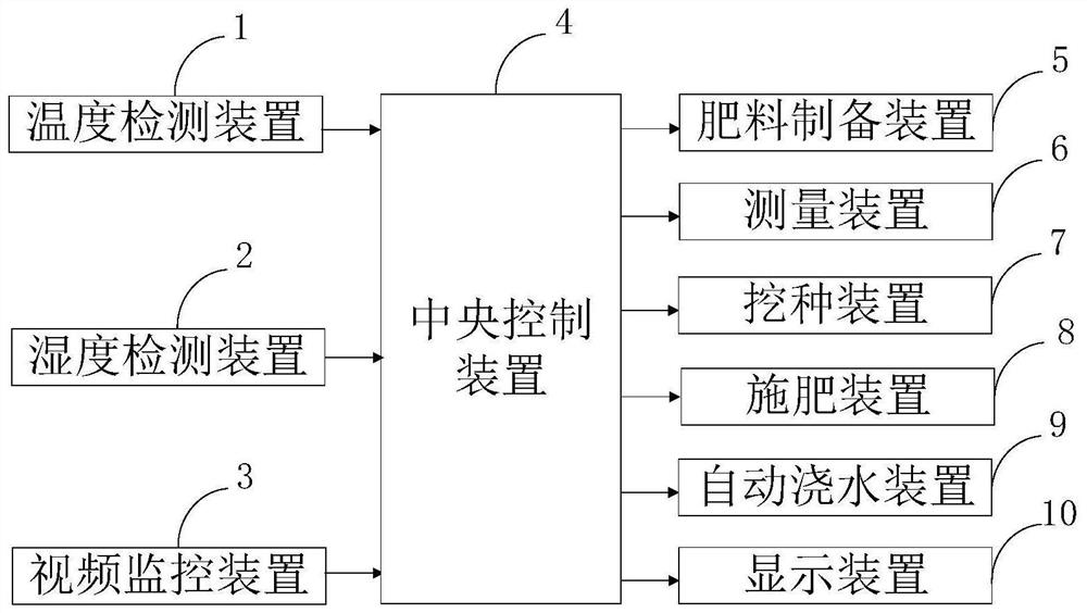 A planting method and planting device for interplanting konjac in Camellia oleifera forest