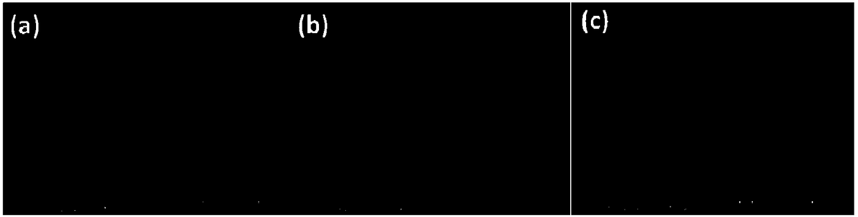 Preparation method of copper sulfide nano-sheet array