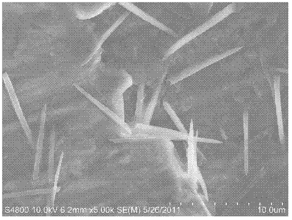 Rod-shaped zirconium phosphate and preparation method thereof