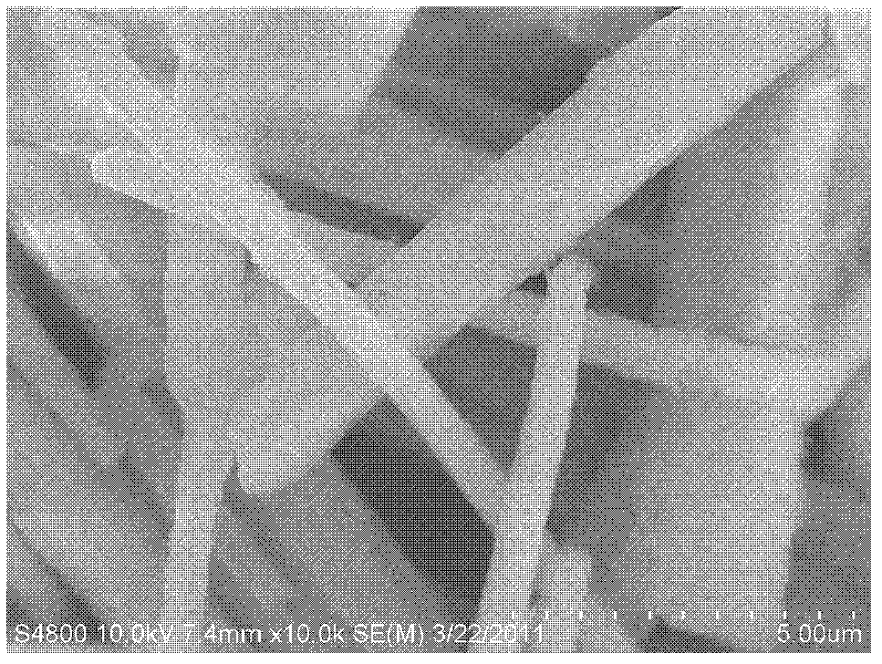 Rod-shaped zirconium phosphate and preparation method thereof