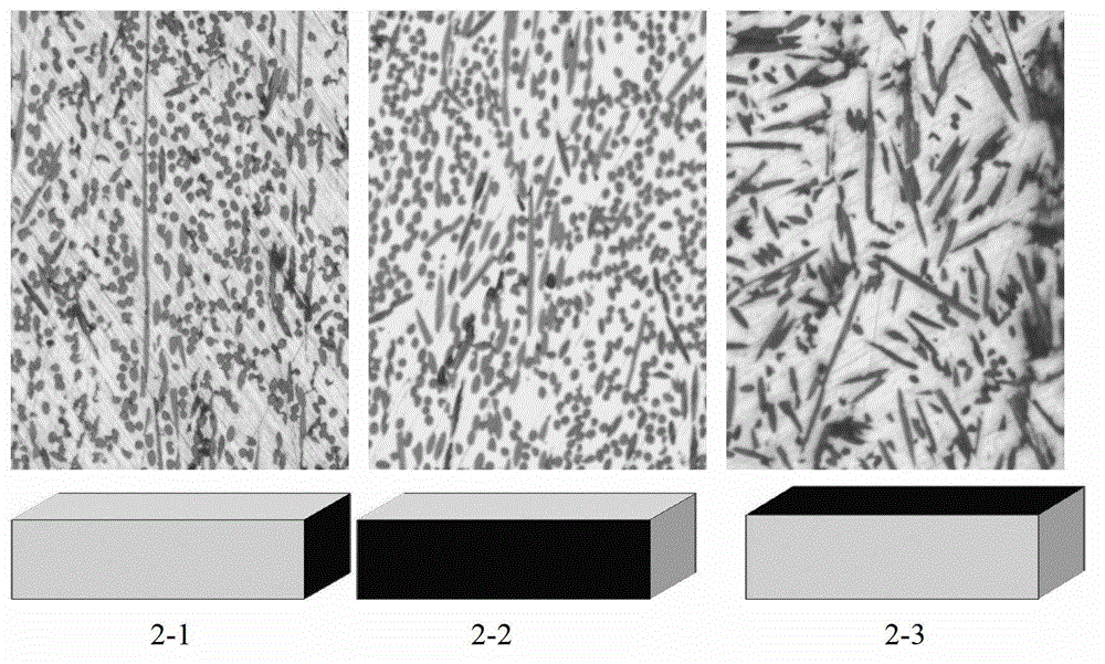 A kind of preparation method of nano carbon fiber-copper composite material