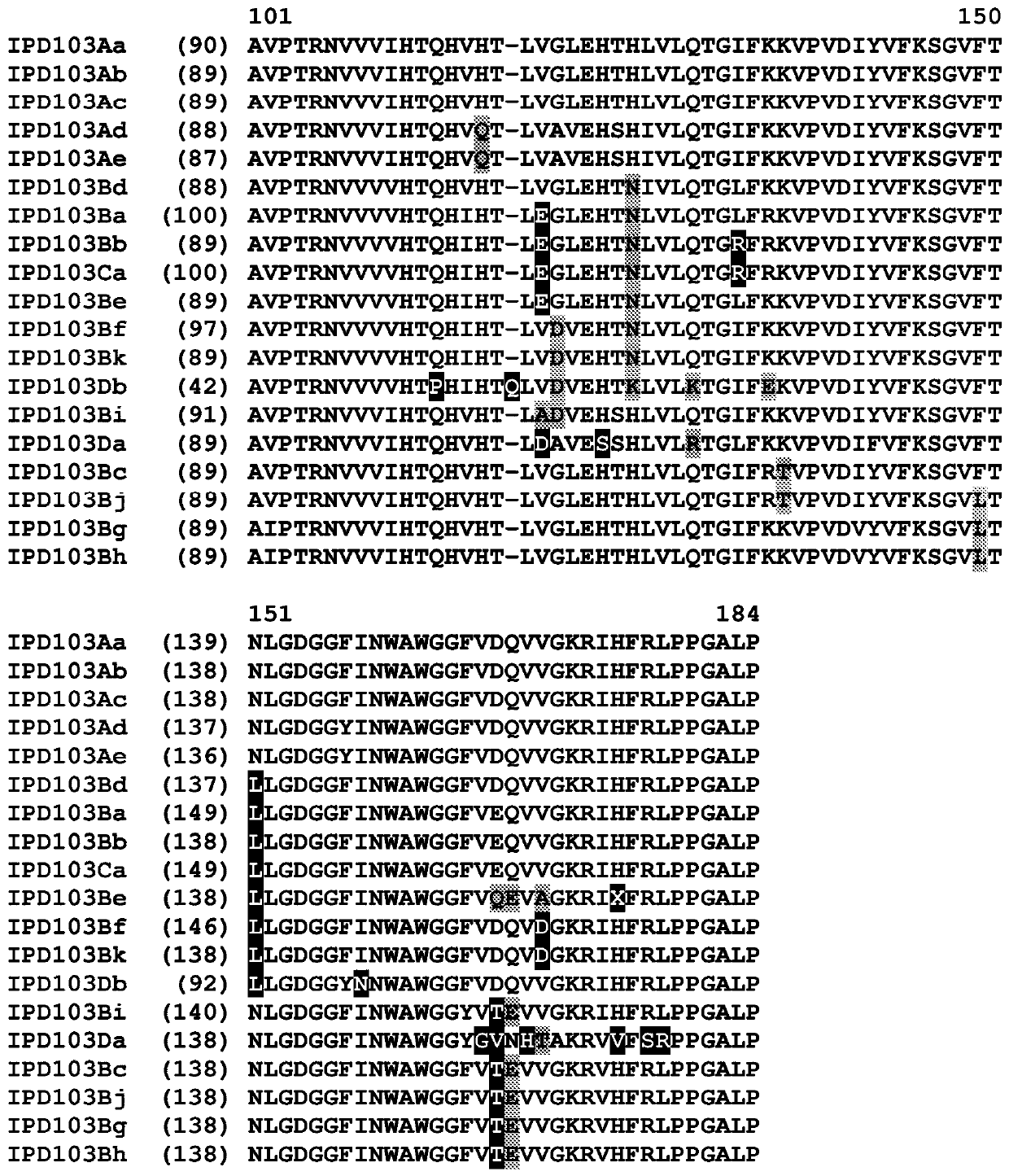 Insecticidal proteins from plants and methods for their use