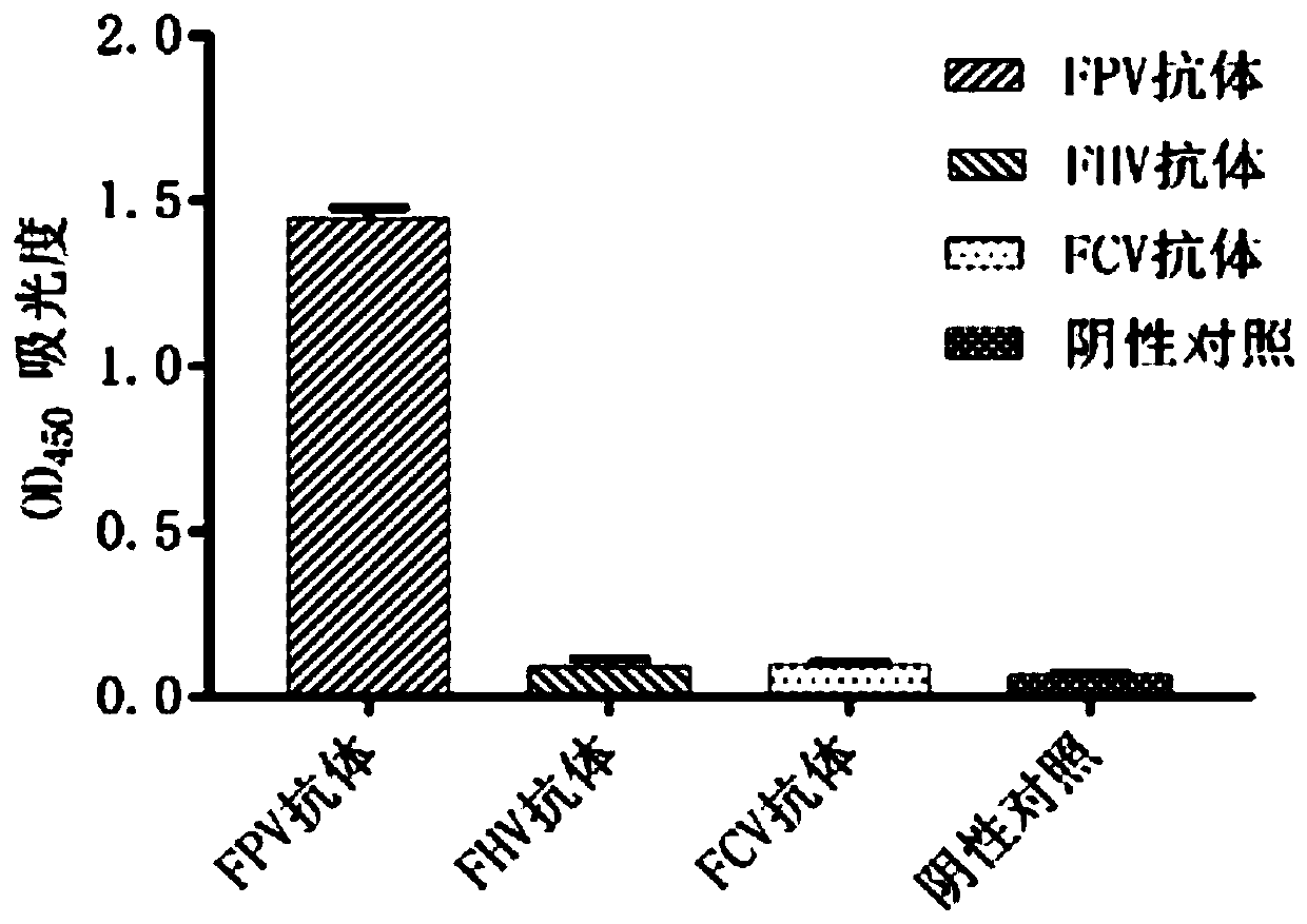 Anti-FPV (feline parvovirus) feline genetic engineering antibody ELISA kit and detection method thereof