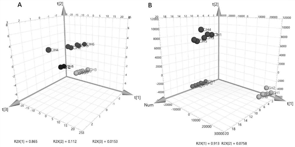 Method for identifying turmeric varieties by applying wide targeted metabonomics technology