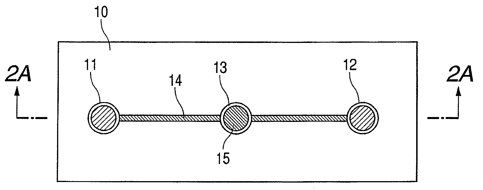 Cell culture treatment apparatus and cell culture treatment method