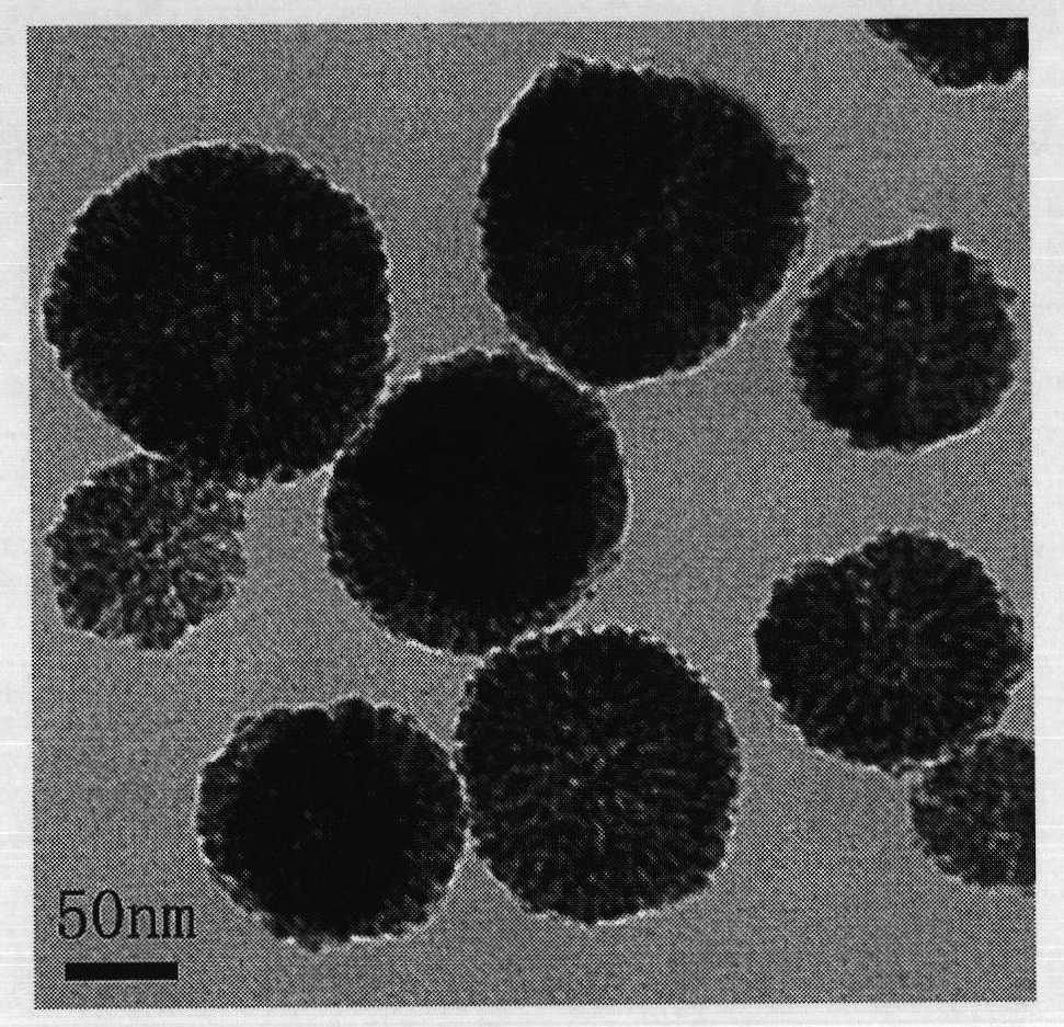 Method for preparing rare-earth fluoride nanometer mesoporous spheres