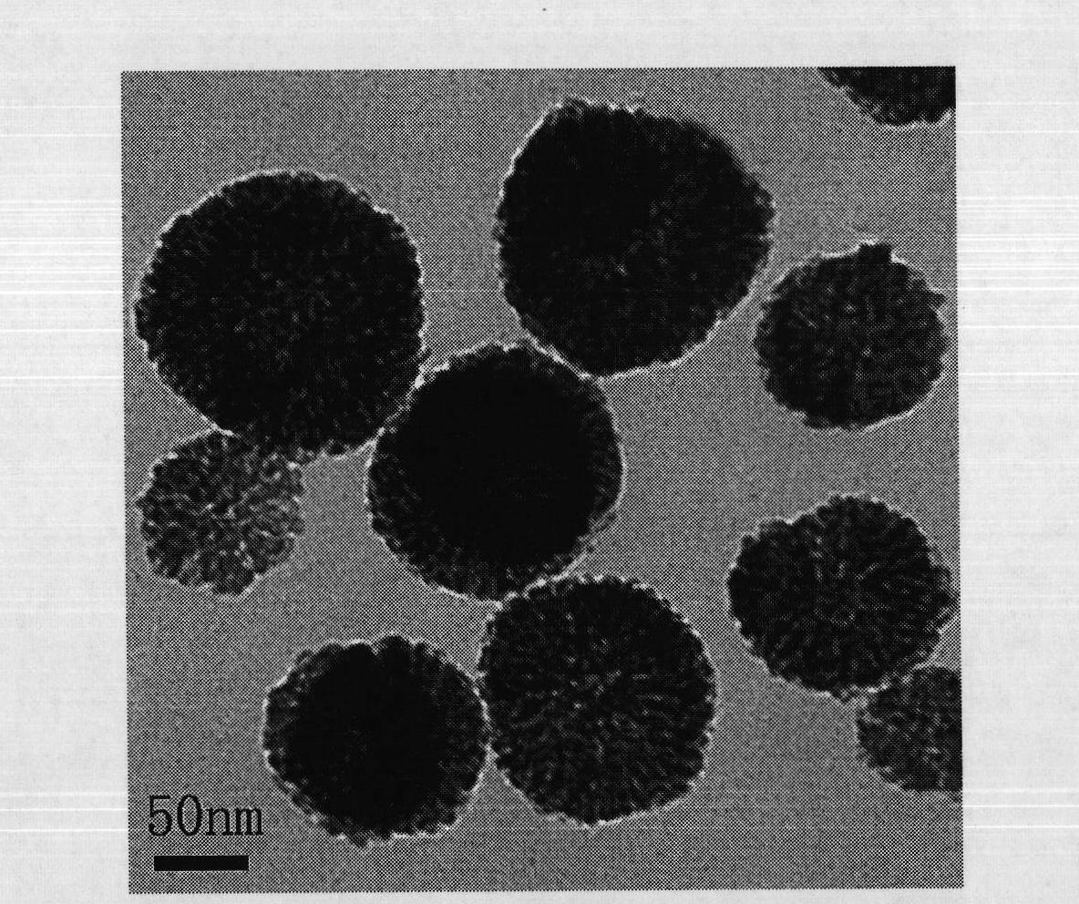 Method for preparing rare-earth fluoride nanometer mesoporous spheres