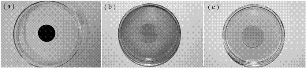 Preparation method and application of polyethyleneimine-crosslinked graphene oxide/titanium dioxide-laminated composite film