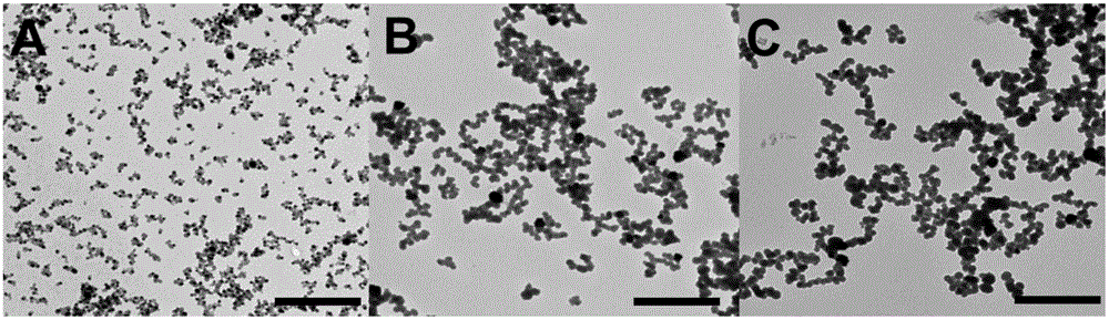 Gold/poly(o-aminophenol), gold/poly(p-phenylenediamine) and gold/poly(o-phenylenediamine) nanoparticles as well as preparation method and application thereof