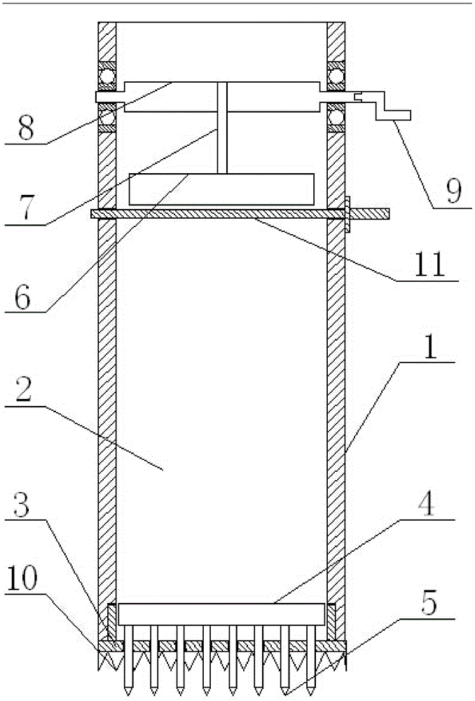 Method for Cultivating Plants on Dolomite Slope Land