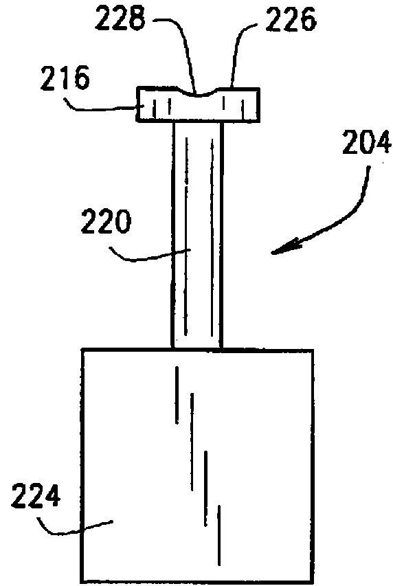 Systems and methods for processing hybrid seed