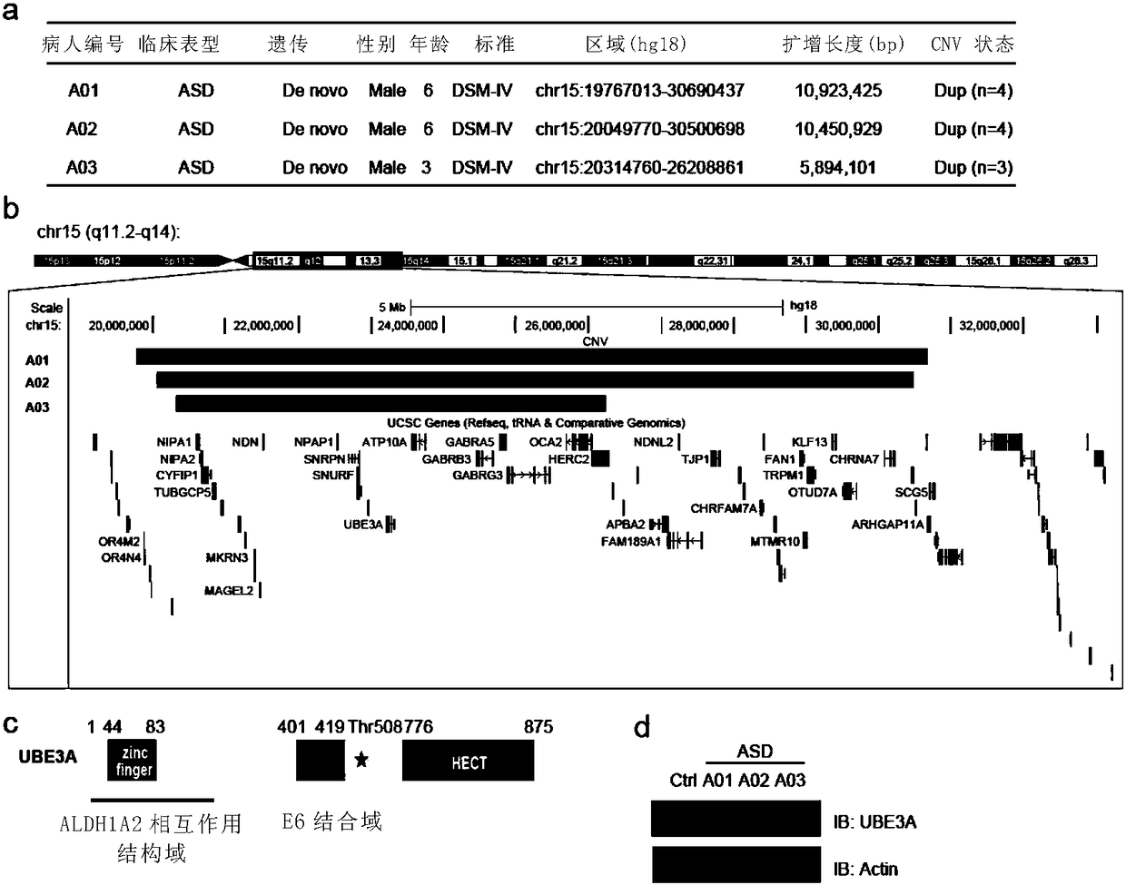 ALDH1A (aldehyde dehydrogenase 1A), agonist and catalysate of ALDH1A, application of inhibitor