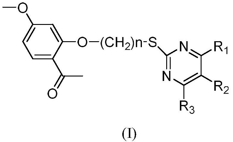 Paeonol dihydropyrimidinone derivatives and preparation method and application thereof
