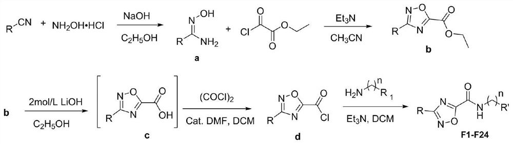 1, 2, 4-oxadiazole-5-formamide derivative as well as preparation method and application thereof