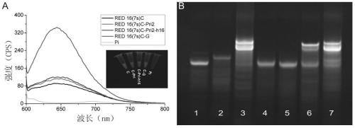 SDA reaction solution for microRNA SDA detection based on agncs/hpDNA probe
