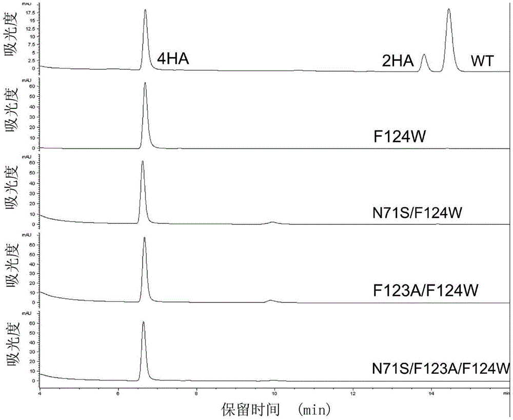 A kind of regioselective bacterial nitroreductase gene and its application