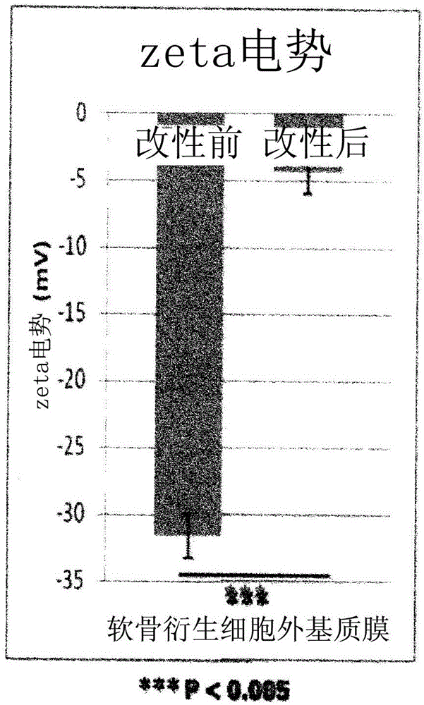 Composition for preventing adhesion, containing surface-modified chondrocyte-derived extracellular matrix membrane as active ingredient