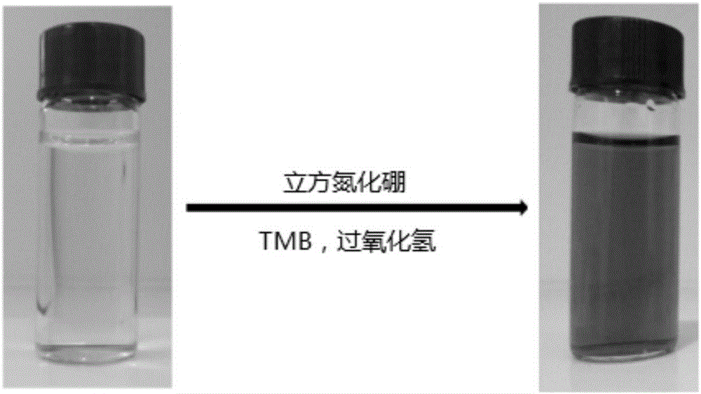 Application of cubic boron nitride as mimetic peroxidase