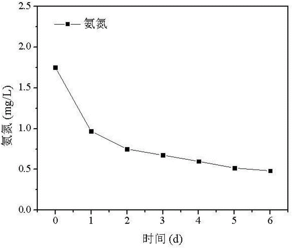 Device for simulating iron-ammonia oxidation process of in-situ riparian zone soil and use method and application of device