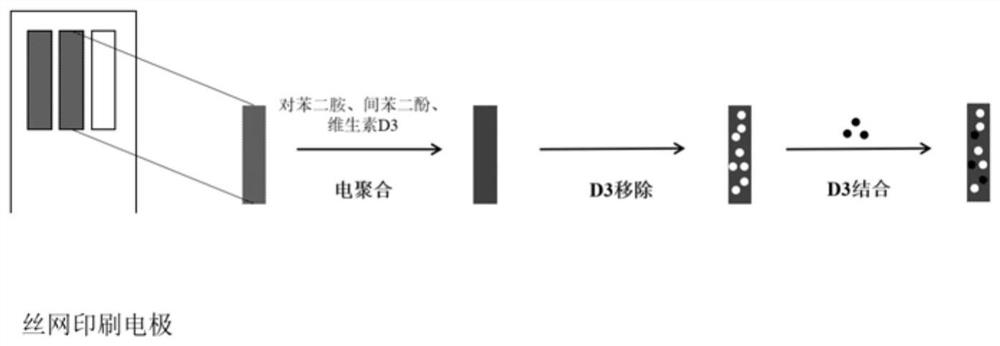 Vitamin D3 detection electrode based on molecularly imprinted polymer and preparation method