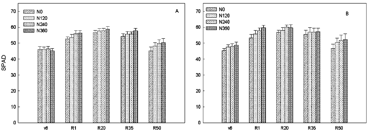 High-yielding Cultivation Method Based on Differences of Carbon and Nitrogen Metabolism in Maize