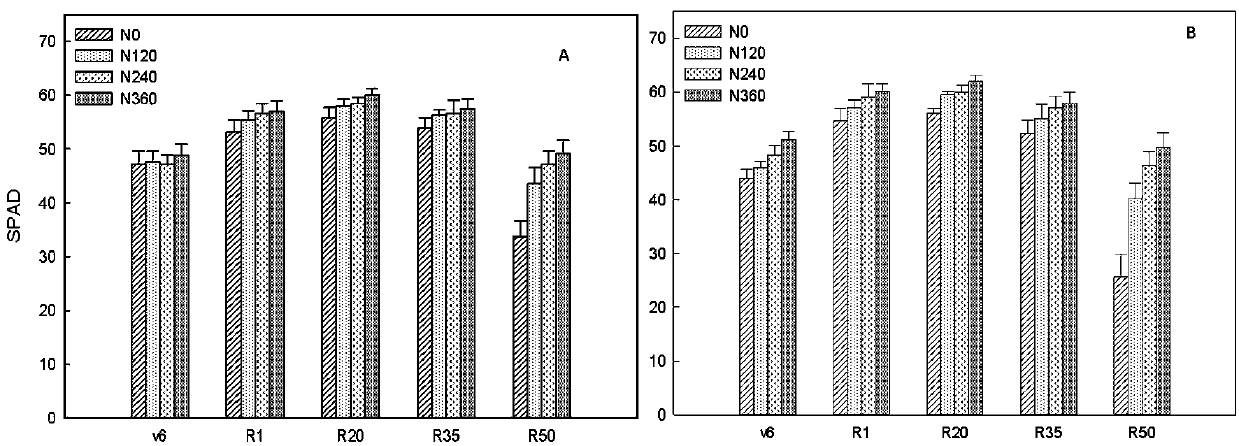 High-yielding Cultivation Method Based on Differences of Carbon and Nitrogen Metabolism in Maize