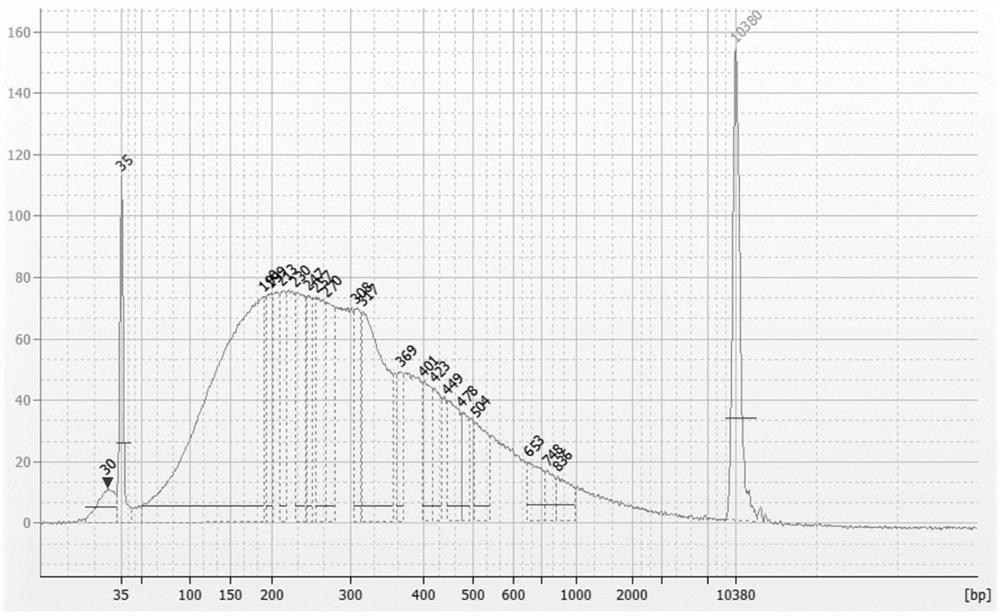 Cot DNA suitable for bisulfite sequencing and preparation method and application thereof