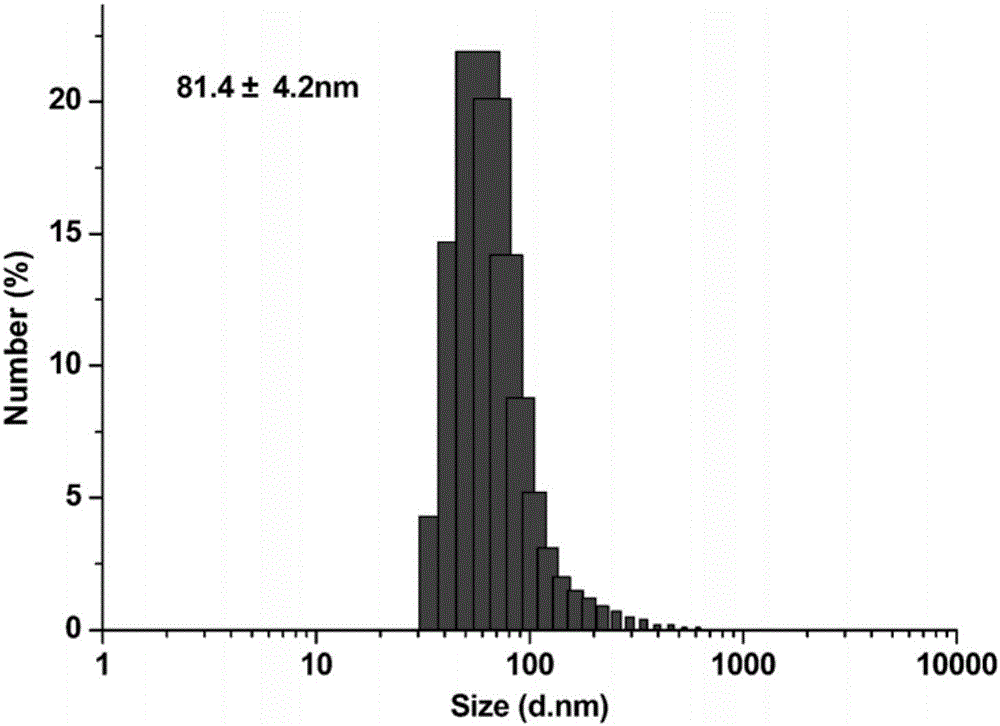 Preparation method and application of medicine-carrying nano-diamond compound