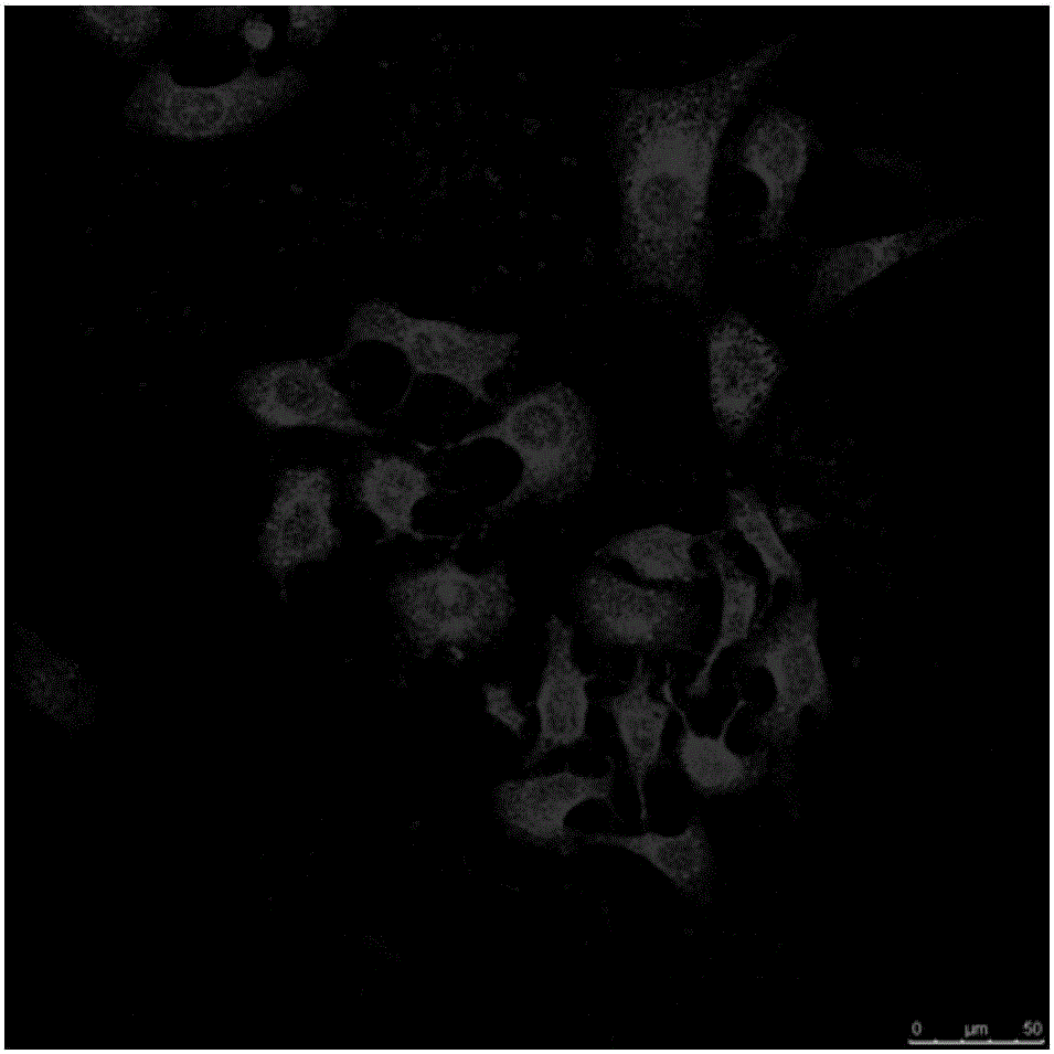 Preparation method and application of medicine-carrying nano-diamond compound