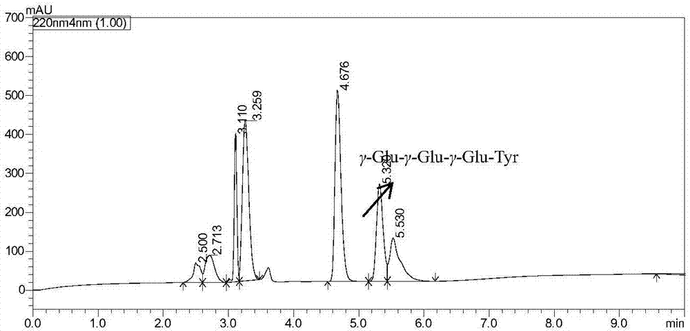 Intense flavor peptide, intense flavor giving agent, seasoning material and preparation method thereof