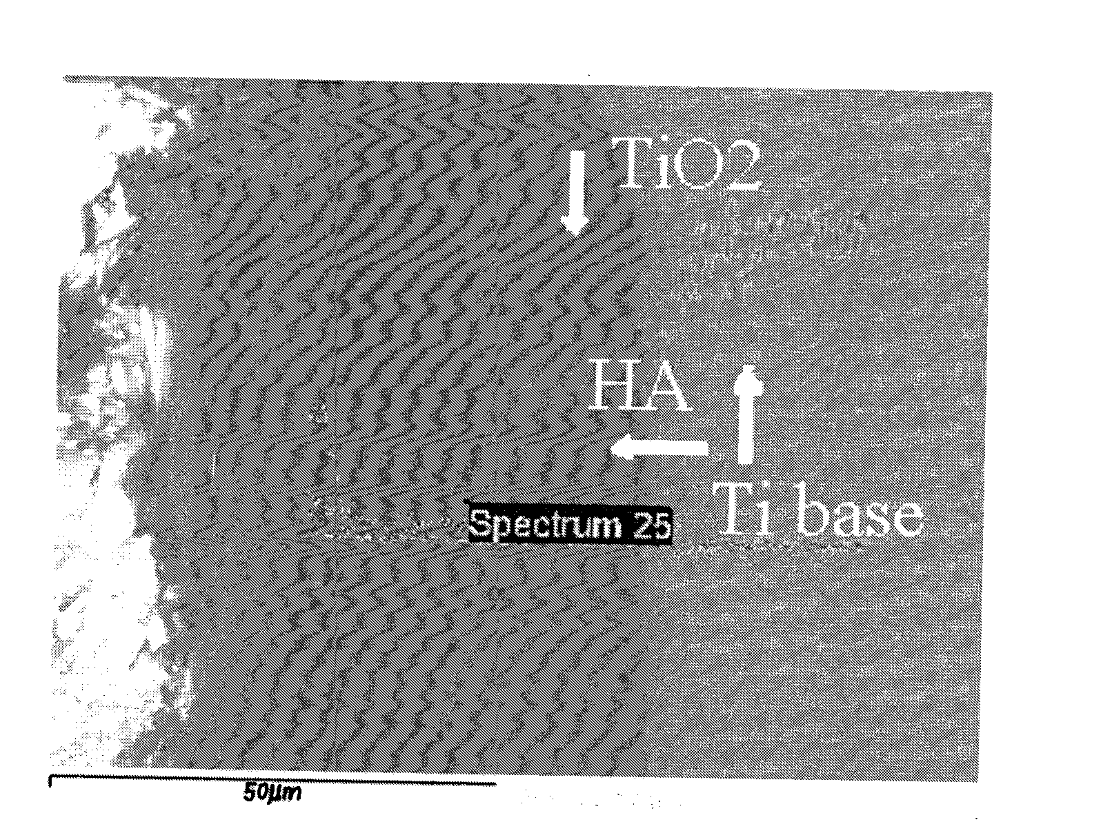 Preparation method of hydroxylapatite/titanic oxide composite biological coatings