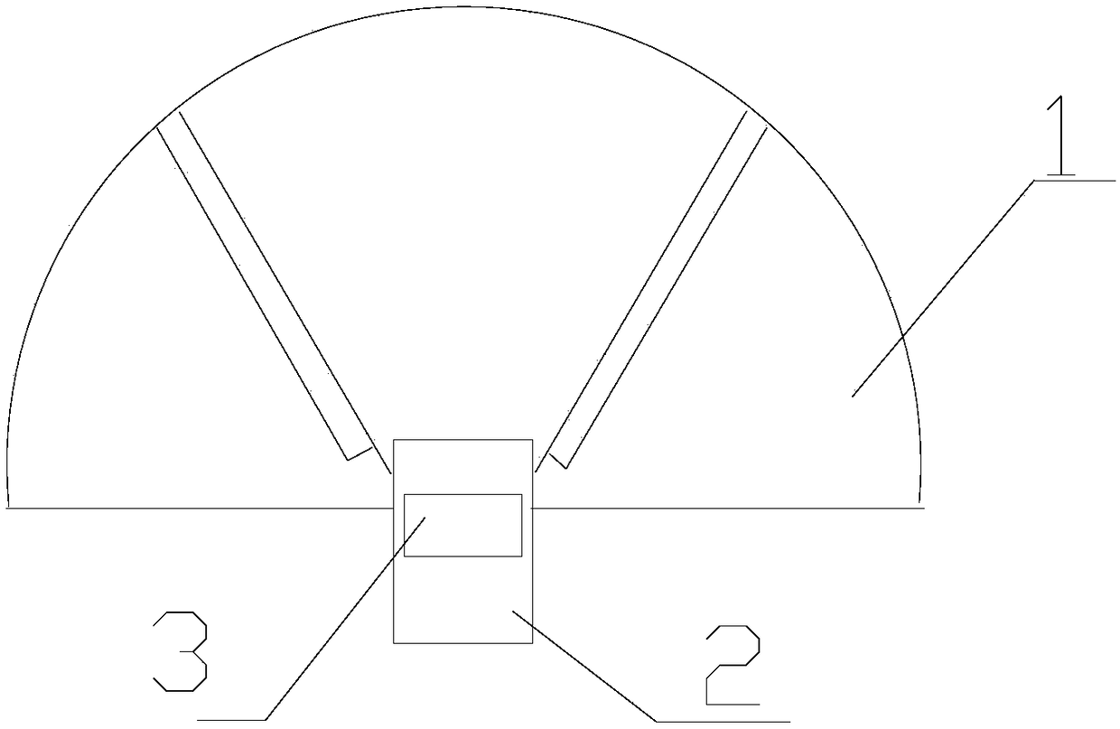 Vehicle over-limit detection device and detection method