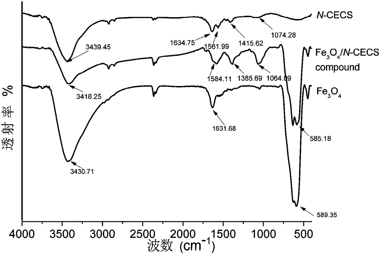 A kind of n-carboxyethyl chitosan nano magnetic beads and its preparation method and application