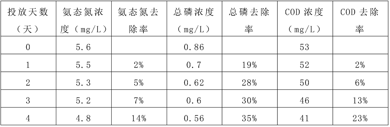 Biologic slow release ball used for governing black and odorous rivers and preparation method and application thereof
