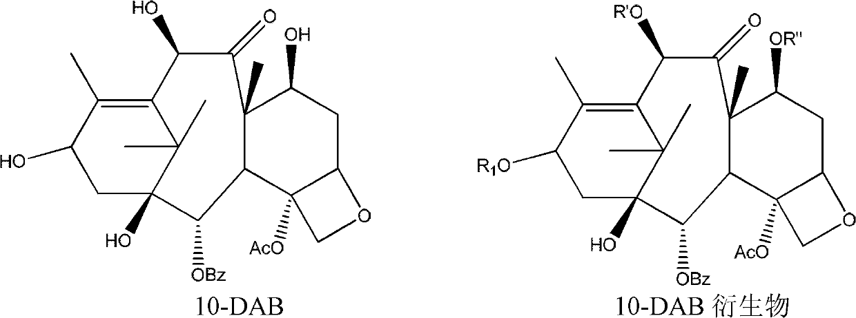 10-deacetylbaccatin iii and method for methoxylation of its derivative