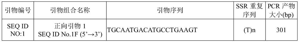 A kind of primer, kit and method for screening rice germplasm with early-growing and fast-growing tillers