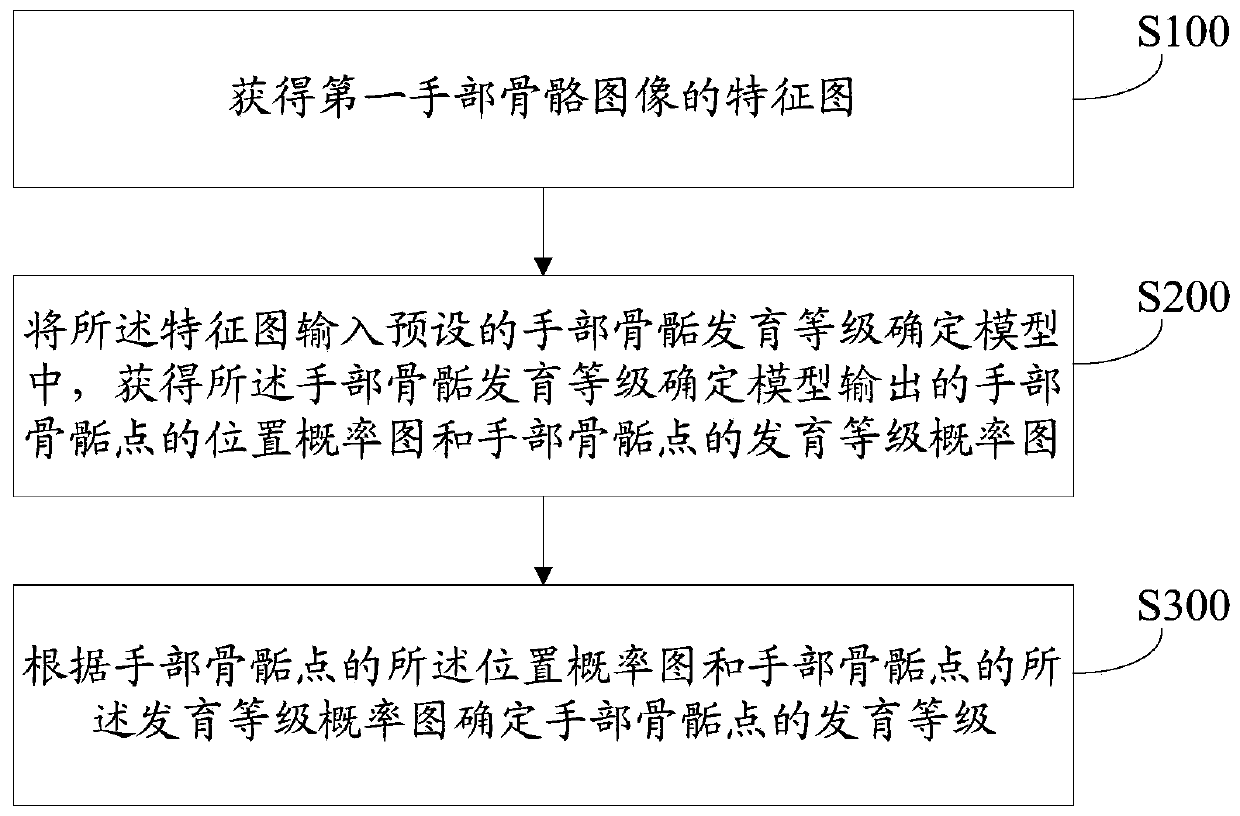 Method for determining developmental grade of hand epiphysis and related equipment