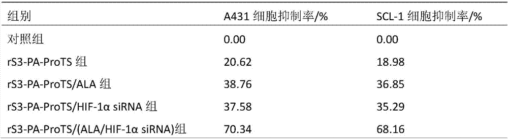 Targeted anti-cSCC (cutaneous squamous cell carcinoma) co-carrying super deformation liposome as well as preparation method and application thereof