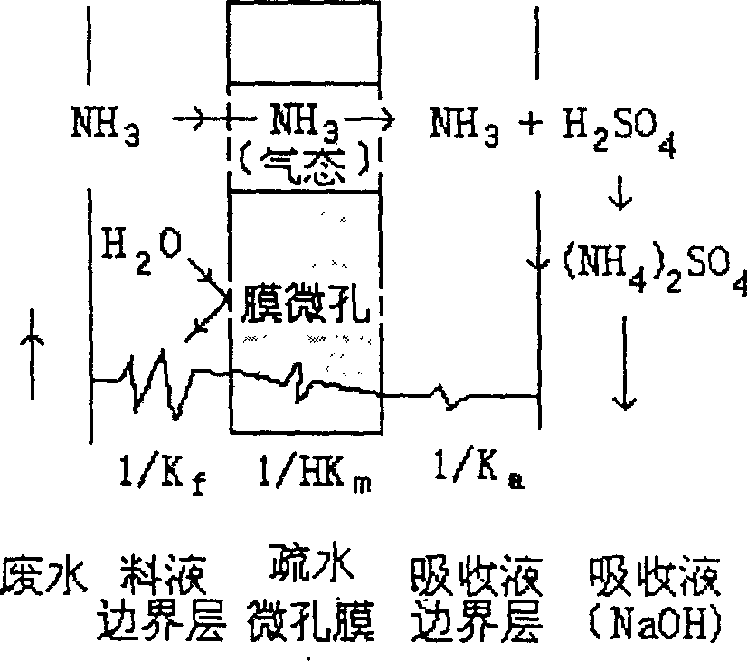 Technology for treating high concentration ammonia nitrogen waste water using membrane based absorption method