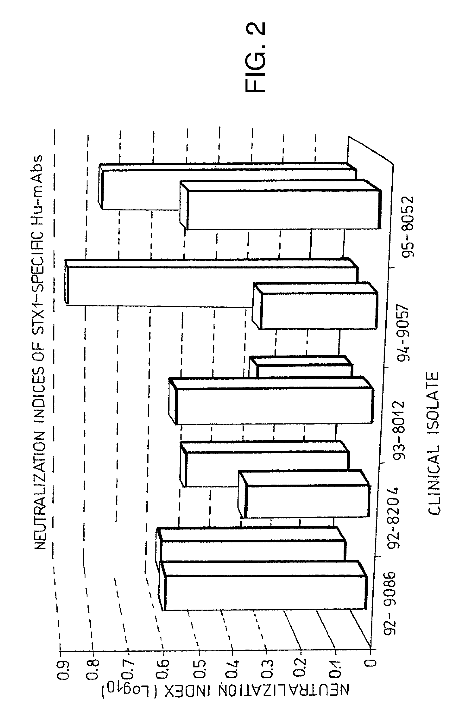 Human neutralizing antibodies against hemolytic uremic syndrome