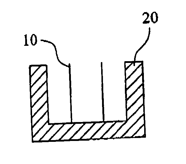 Dual function prosthetic bone implant and method for preparing the same