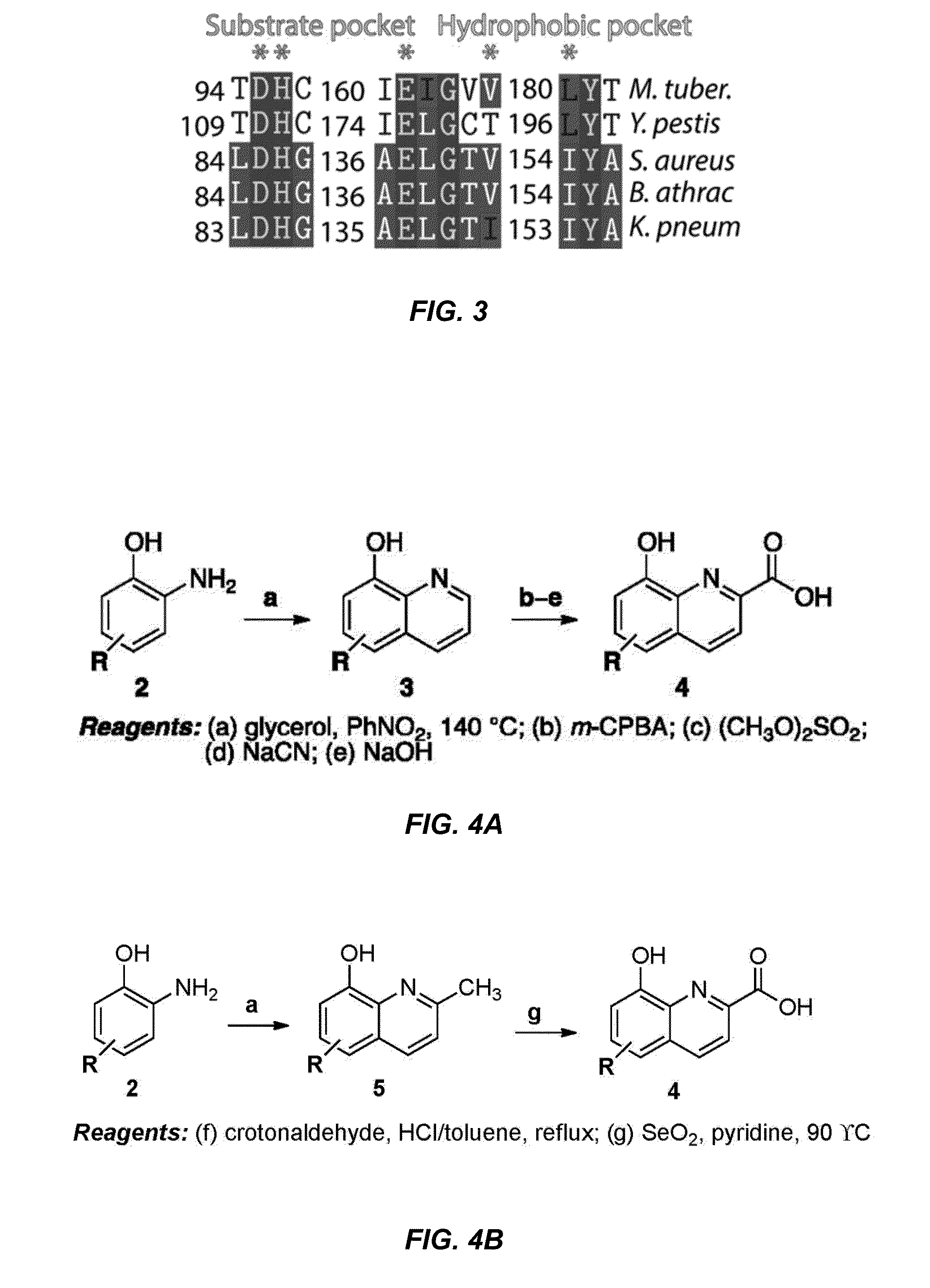 Antibiotic and anti-parasitic agents that modulate class II fructose 1,6-bisphosphate aldolase