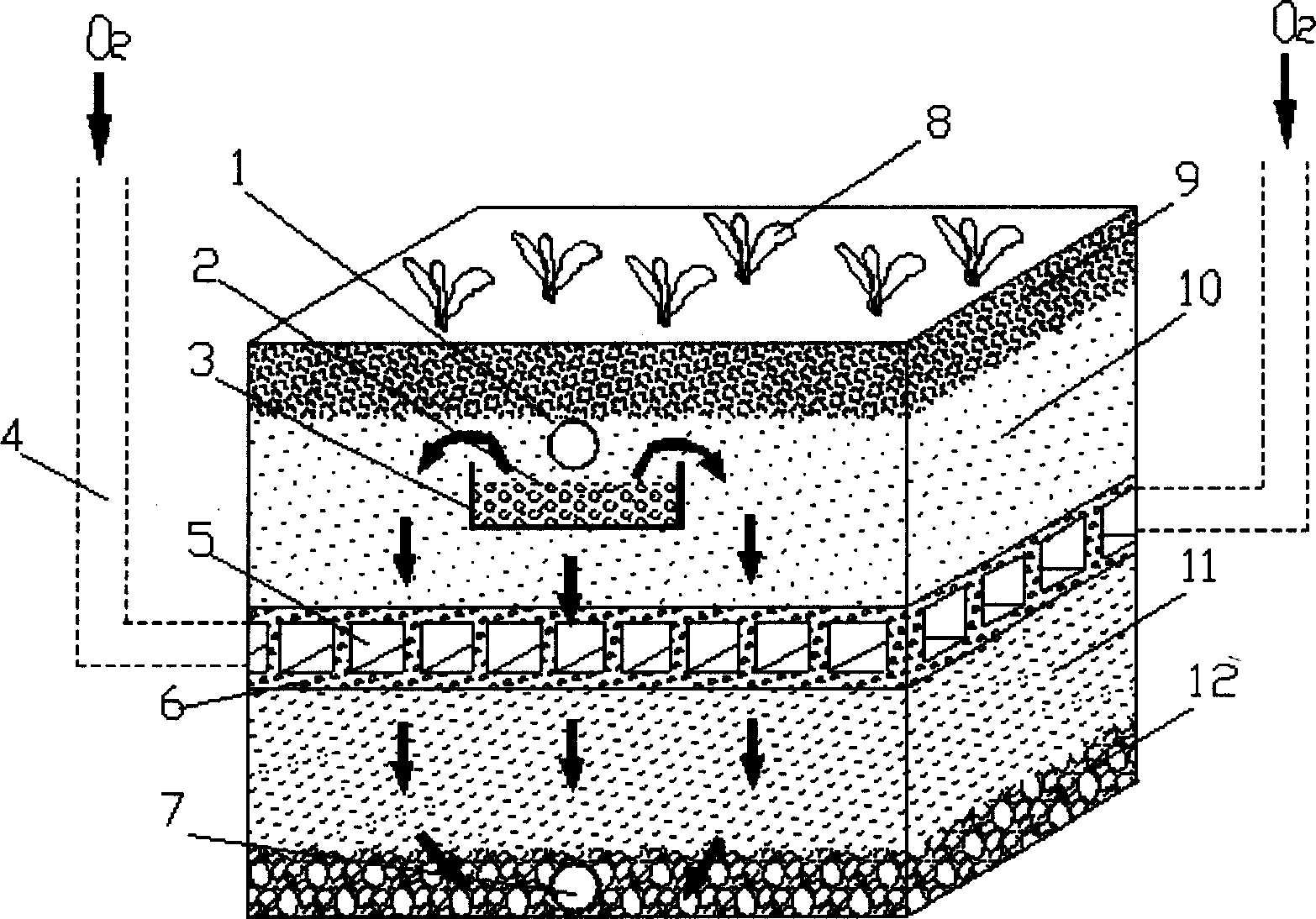 Waste water cryogenic treating apparatus for deaminizating phosphor-removing ventilating layer