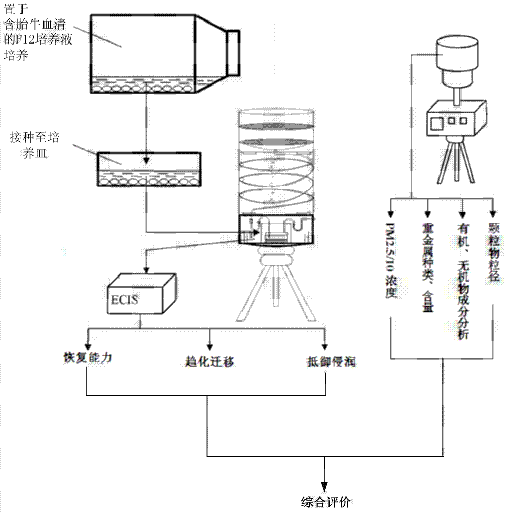 A Toxicity Evaluation Method of Haze Pollutants